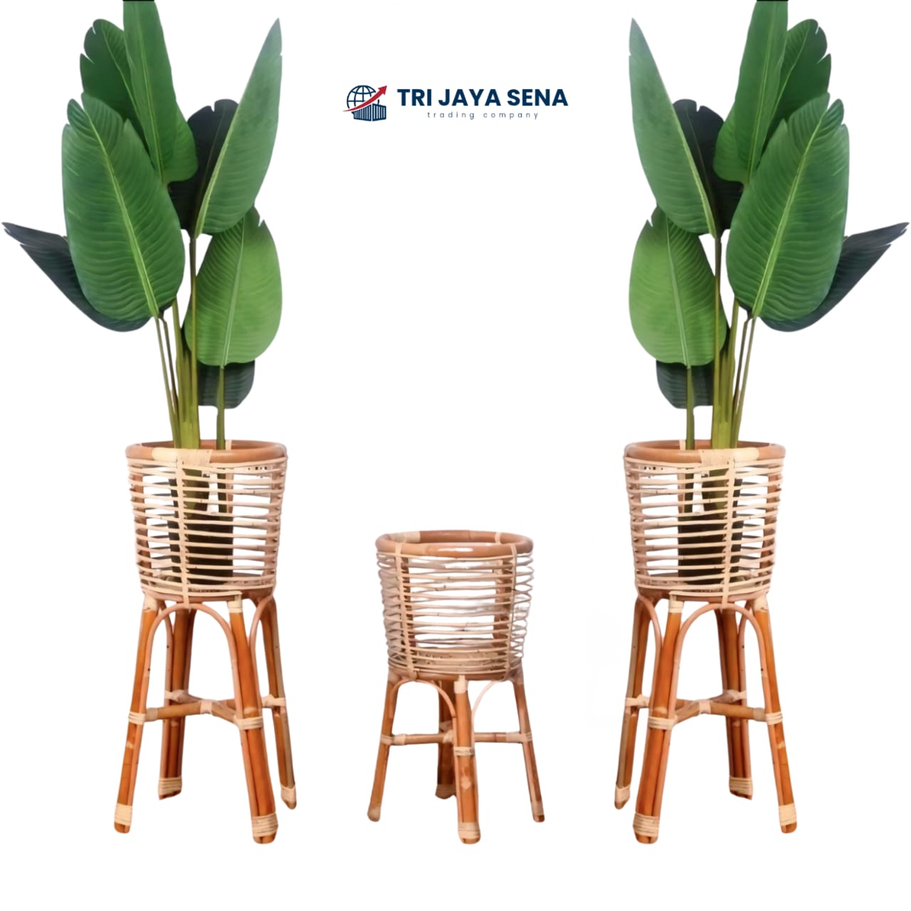 whatsapp image 2025 12 05 at 23.28.21